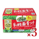 【最大10%OFF!GW限定まとめ買いクーポン配布中!】新日配薬品 乳酸菌青汁 3g×20袋 × 3箱
