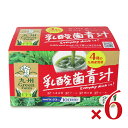 【最大10%OFF!GW限定まとめ買いクーポン配布中!】新日配薬品 乳酸菌青汁 3g×20袋 × 6箱