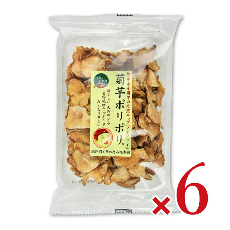 阿蘇自然の恵み総本舗 菊芋ポリポリ40g × 6袋