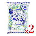 【マラソン限定!最大2000円OFFクーポン配布中!】春日井製菓 みんなで食べよう ぶどう糖たっぷりラムネ 550g × 2袋