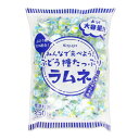 【マラソン限定!最大2000円OFFクーポン配布中!】春日井製菓 みんなで食べよう ぶどう糖たっぷりラムネ 550g