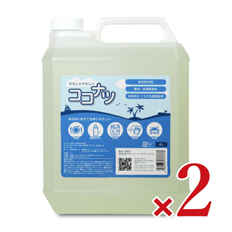 《送料無料》ココナツ 洗剤　お徳用4L × 2本 ブルーシーインターナショナル