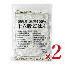 【月初め34時間限定!!最大2000円OFFクーポン配布中!! 】旭食品 業務用 国内産十六穀ごはん 500g × 2袋