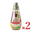 【月初め34時間限定!!最大2000円OFFクーポン配布中!!】日新蜂蜜 純粋カナダ産はちみつ 400g × 2本