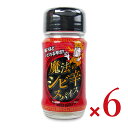 【最大10%OFF!GW限定まとめ買いクーポン配布中!】《送料無料》ファインフーズジャパン 魔法のシビ辛スパイス 30g × 6個