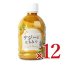 【月初め34時間限定!!最大2000円OFFクーポン配布中!! 】《送料無料》宝島 サジーとはちみつ 300ml × 12本