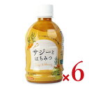 【月初め34時間限定!!最大2000円OFFクーポン配布中!! 】宝島 サジーとはちみつ 300ml × 6本