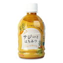 【月初め34時間限定!!最大2000円OFFクーポン配布中!! 】宝島 サジーとはちみつ 300ml
