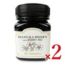 【マラソン限定!最大2000円OFFクーポン配布中!】《送料無料》マヌカライフ マヌカハニー MGO250+ 250g × 2個