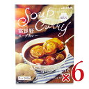 【最大10%OFF!GW限定まとめ買いクーポン配布中!】《送料無料》JAふらの 富良野スープカレー ほたて2個入 260g × 6個