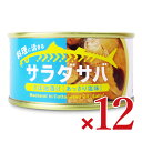 【マラソン限定!最大2000円OFFクーポン配布中!】《送料無料》木の屋 石巻水産 サラダサバ さば油漬け あっさり塩味 150g × 12個