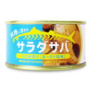 【マラソン限定!最大2000円OFFクーポン配布中!】木の屋 石巻水産 サラダサバ さば油漬け あっさり塩味 150g