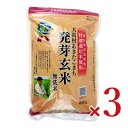 【最大10%OFF!GW限定まとめ買いクーポン配布中!】大潟村あきたこまち生産者協会 特別栽培米大潟村あきたこまち発芽玄米鉄分 850g × 3袋