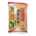 【最大10%OFF!GW限定まとめ買いクーポン配布中!】大潟村あきたこまち生産者協会 特別栽培米大潟村あきたこまち発芽玄米鉄分 850g