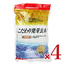 【最大10%OFF!GW限定まとめ買いクーポン配布中!】《送料無料》大潟村あきたこまち生産者協会 こだわり発芽玄米鉄分 850g × 4袋