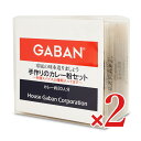 【月初め34時間限定!!最大2000円OFFクーポン配布中!! 】ハウスギャバン GABAN 手作りカレー粉セット 100g × 2個