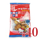 《送料無料》野村煎豆加工店 ハローキティまじめミレービスケット 100g× 20袋 × 2箱 ケース販売