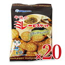【マラソン限定!最大2000円OFFクーポン配布中!】《送料無料》野村煎豆加工店 やっぱりまじめ 午後のミレービスケット 70g× 10袋 × 2箱 ケース販売