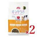 森乳サンワールド スーパーゴールド おなかラボ 成犬用 800g × 2個