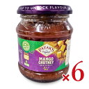 《送料無料》パタックス マンゴーチャツネ 340g×6個