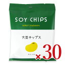 【マラソン限定!最大2000円OFFクーポン配布中!】《送料無料》コッチラボ 大豆チップス のりしお 25g×15個 × 2箱 ケース販売