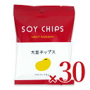 【マラソン限定!最大2000円OFFクーポン配布中!】《送料無料》コッチラボ 大豆チップスべジバーベキュー 25g×15個 × 2箱 ケース販売