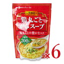 エスビー食品 李錦記 鶏丸ごとがらスープ袋 200g × 6個