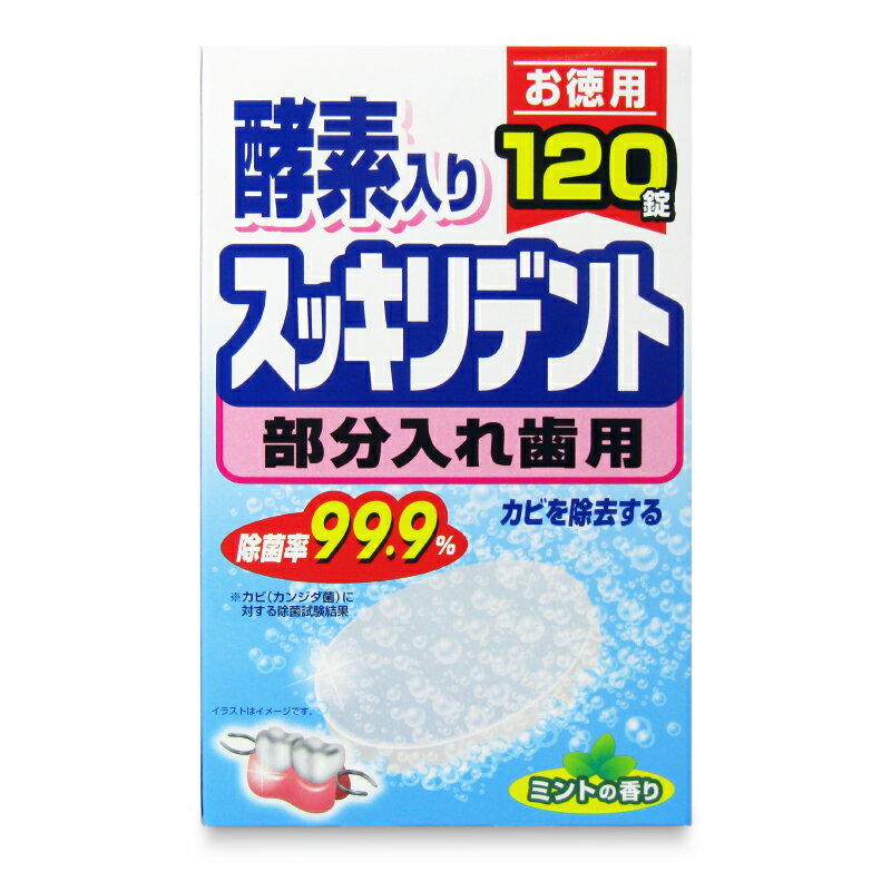 【ブラックフライデー限定!最大2000円OFFクーポン配布中!】ライオンケミカル スッキリデント 入れ歯洗..