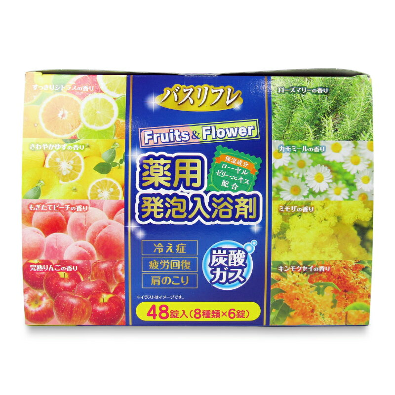 【ブラックフライデー限定!最大2000円OFFクーポン配布中!】ライオンケミカル バスリフレ 薬用発 ...