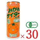 【マラソン限定！最大2200円OFFクーポン配布中！】《送料無料》光食品 有機みかんサイダー レモン 250ml × 30本 ケース販売 有機JAS