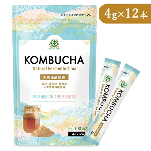 勝山ネクステージ 仙台勝山館 KOMBUCHA スティックタイプ 4g×12本