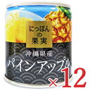 にっぽんの果実 沖縄県産 パインアップル195g × 12個...