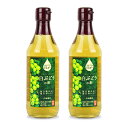 内堀醸造 フルーツビネガー 白ぶどうの酢 360ml × 2本