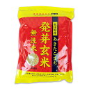 【最大10%OFF!GW限定まとめ買いクーポン配布中!】大潟村あきたこまち生産者協会 あきたこまち 発芽玄米 無洗米 栄養機能食品(鉄分)900g