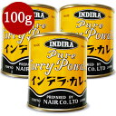 【最大10%OFF!GW限定まとめ買いクーポン配布中!】インデラカレー スタンダード 100g × 3個