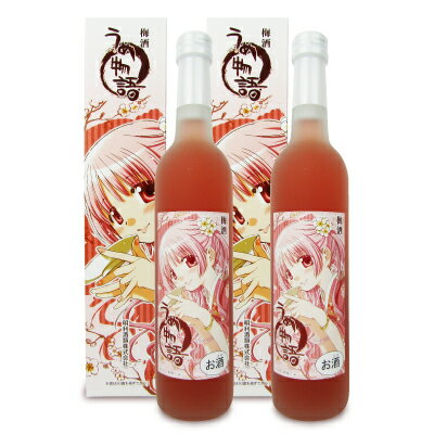 【ブラックフライデー限定!最大2000円OFFクーポン配布中!】《送料無料》明利酒類 明利 うめ物語500ml × 2本