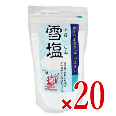 【最大2200円OFFのスーパーSALE限定クーポン配布中！】《送料無料》パラダイスプラン 雪塩 250g × 20袋