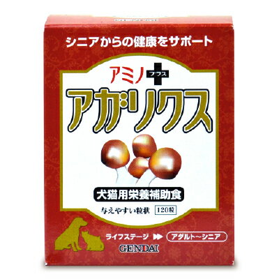 ゲンダイ (GENDAI) 現代製薬 アミノプ