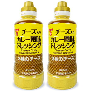 フンドーキン醤油 チーズ入りカレー風味ドレッシング 420ml × 2本