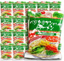 桜井食品 ベジタリアンのためのラーメン みそ味 100g × 20袋入 【らーめん インスタント 即席麺 味噌 みそラーメン】《あす楽》