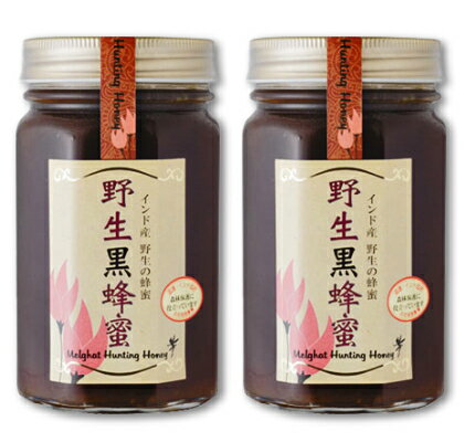 《送料無料》 野生黒蜂蜜 500g × 2個 ［シタール シタァール］【はちみつ ハチミツ 蜂蜜 野生 ハンティングハニー 天然 ピュア】