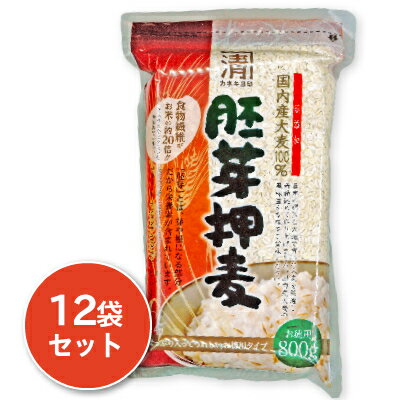 西田精麦 国産胚芽押麦 800g × 12袋 