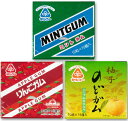 【マラソン限定!最大2000円OFFクーポン配布中!】《送料無料》 サンコー ガム 10粒×15個入 3種 (バラエティーセット)[ミントガム りんごガム のど...