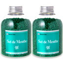 【マラソン限定！最大2200円OFFクーポン配布中】《送料無料》 北見 Sel de Menthe （セル デ メンタ） 450g × 2本 徳用ボトル 北見ハッカ通商