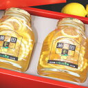 【最大10%OFF!GW限定まとめ買いクーポン配布中!】《送料無料》 三原農業協同組合 瀬戸田レモンのはちみつ漬け470g×2瓶 ギフト箱入り