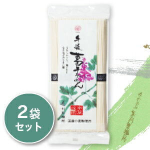 坂利製麺所 手延べ葛そうめん 250g × 2袋