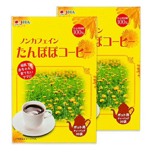 ゼンヤクノー ノンカフェイン たんぽぽコーヒー ポット用 [3g×30袋入] × 2箱 ティーバッグ