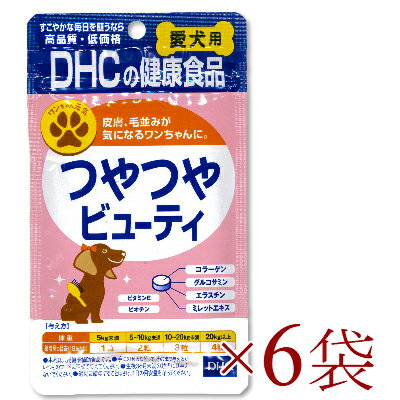 【マラソン限定！最大2200円OFFクーポン配布中】《送料無料》 DHC つやつやビューティ 60粒 × 6袋