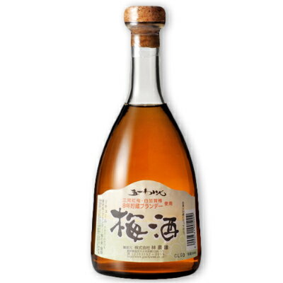 《送料無料》五一わいん 梅酒 500ml ［林農園］【お酒 リキュール ビン 瓶 五一ワイン 日本 信州 桔梗ケ原】