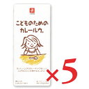 【月初34時間限定！最大2200円OFFクーポン配布中！】キャニオンスパイス こどものためのカレールウ。 150g × 5箱